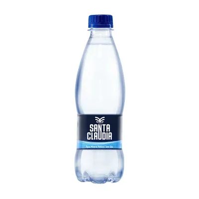 Água Mineral Sem Gás Santa Claudia 350Ml