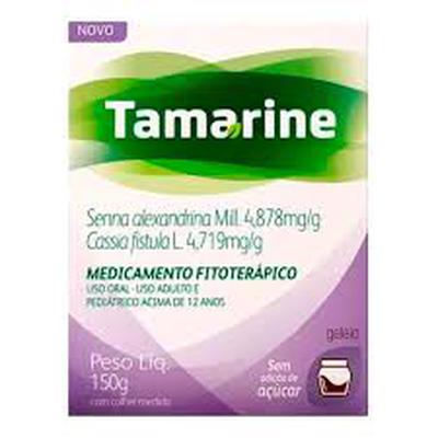 Geleia Zero Açúcar Tamarine 150G